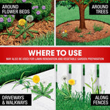 Roundup® Concentrate Plus Weed and Grass Killer