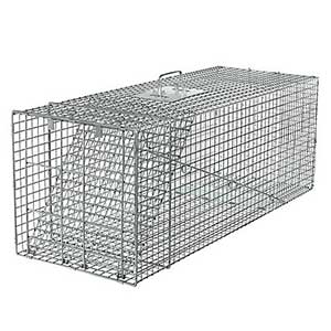 HAVAHART® X-Large Animal Trap