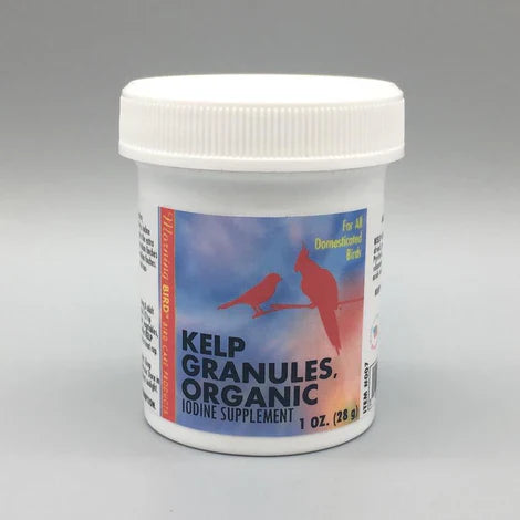 Morning Bird Kelp Granules (1 oz) - Greenbush, NY - Troy, NY - Country ...