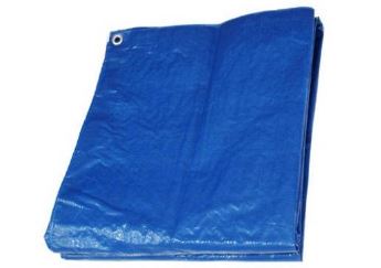 TruGuard Master Tradesman Blue Polyethylene Storage Tarp Cover (10' x 12', Blue)