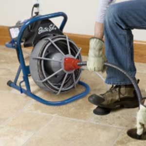 Electric Eel® 50' Power Snake