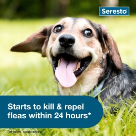 Seresto Flea and Tick Collar for Dogs