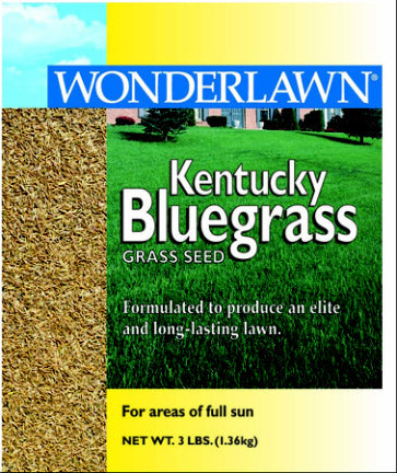 3LB KENTUCKY BLUEGRASS