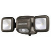Twin-Head LED Spot Light, 500-Lumens