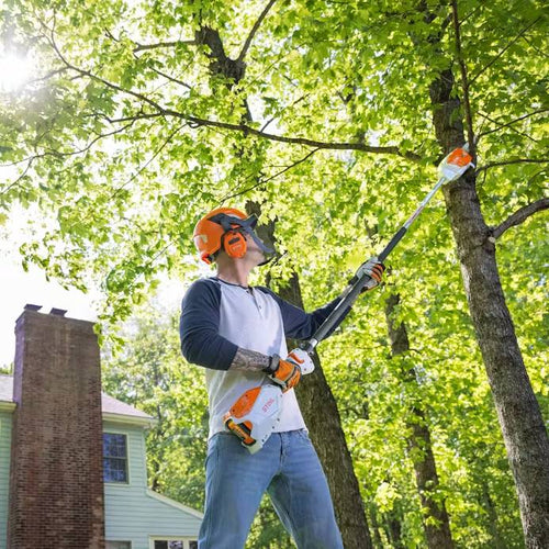 Stihl HTA 66 Pole Pruner (Tool Only)