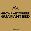 Scotts® EZ Seed® Patch & Repair Tall Fescue Lawns