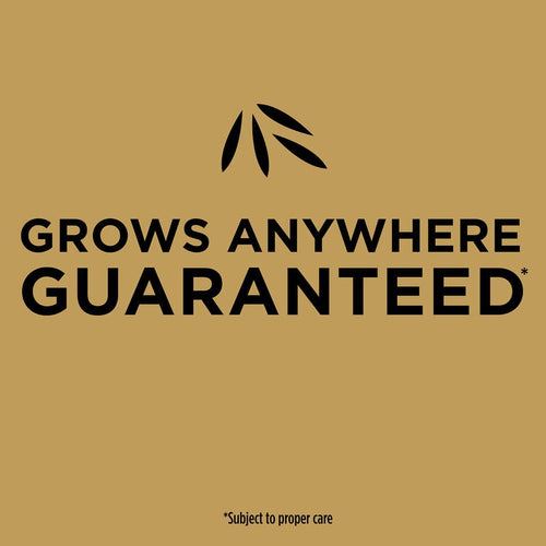Scotts® EZ Seed® Patch & Repair Tall Fescue Lawns