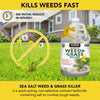 Harris Sea Salt 10X Weed & Grass Killer Spray