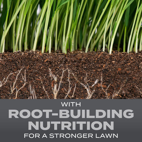 Scotts® Turf Builder® Grass Seed Northeast Mix