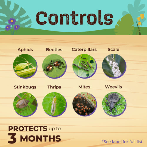Bonide Captain Jack's Fruit Tree Spray  Concentrate