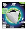 GE Lighting 15W Clear Bright White LED Floodlight Bulb