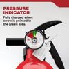 Kidde Basic 110 Fire Extinguisher