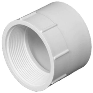 Charlotte Pipe 2 In. Hub X 2 In. Fpt Schedule 40 Dwv Pvc Adapter