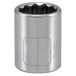 3/8-Inch Drive 12-Point Socket
