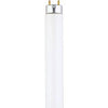 Miniature Fluorescent Tube, Cool White, 18-In., 15-Watts