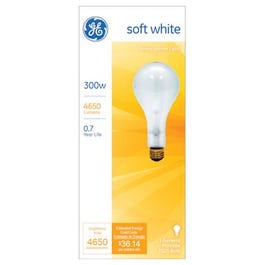 300-Watt Clear Light Bulb