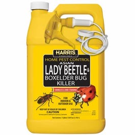 Asian Lady Beetle & Box Elder Bug Killer, 1-Gal.