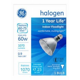 Indoor Halogen Flood Light, 60-Watts