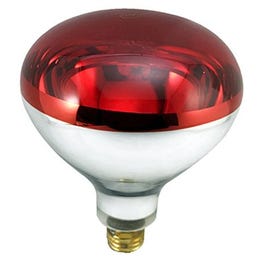 Heat Lamp, Flood Beam, Dimmable, R40, Red, 250-Watts