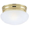 7-Inch Ceiling Light Fixture