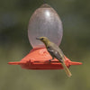 Perky-Pet® Plastic Oriole Feeder