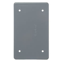 Field Service PVC Blank Box Cover, With Mounting Screws