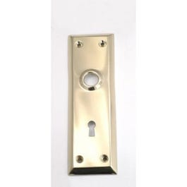 Brass-Plated Steel Mortise Trim Plate
