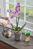 Miracle-Gro® Water Soluble Orchid Food