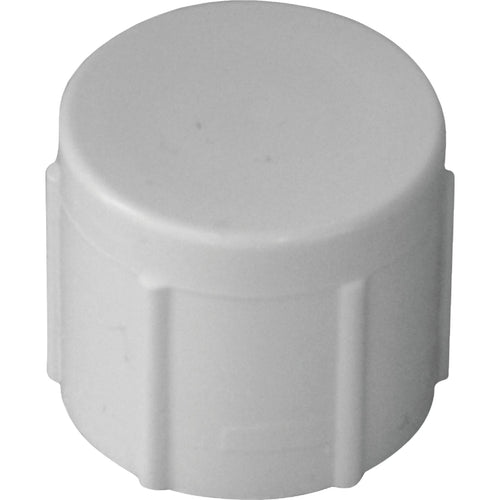 Charlotte Pipe 2 In. FIP Schedule 40 Threaded PVC Cap