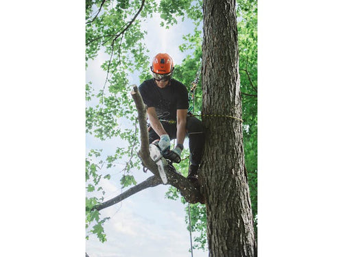 STIHL MS 151 T C-E In-Tree Saw