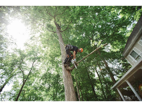 STIHL MS 151 T C-E In-Tree Saw