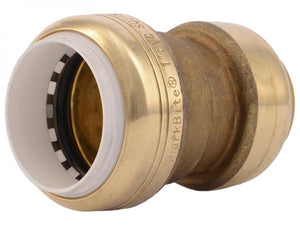 Sharkbite Push-to-Connect PVC Transition Coupling 1 in. CTS x 1 in. PVC