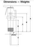 Watts Series LL100XL Temperature and Pressure Relief Valve